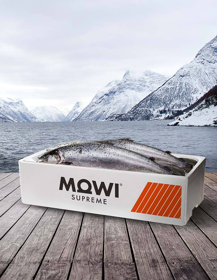 Imaginity, Mowi Supreme, Packaging Design, Salmon Box