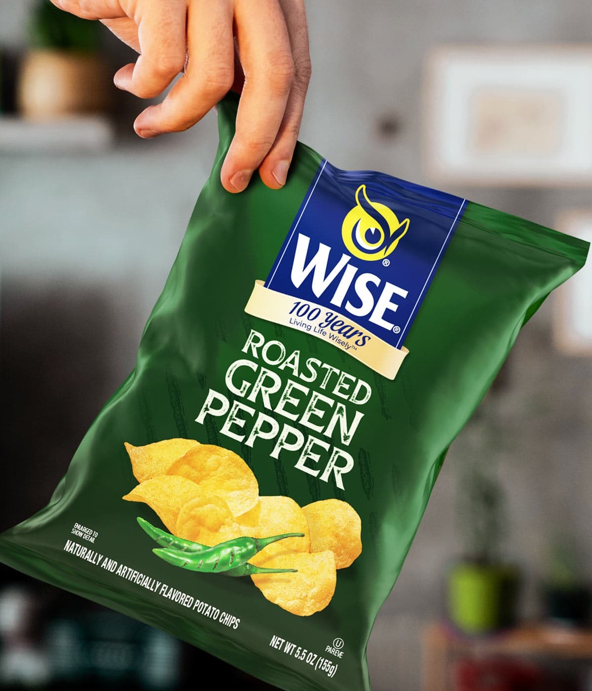 imaginity_wise_roasted_green_pepper_snacks_packaging_design_potato_chips