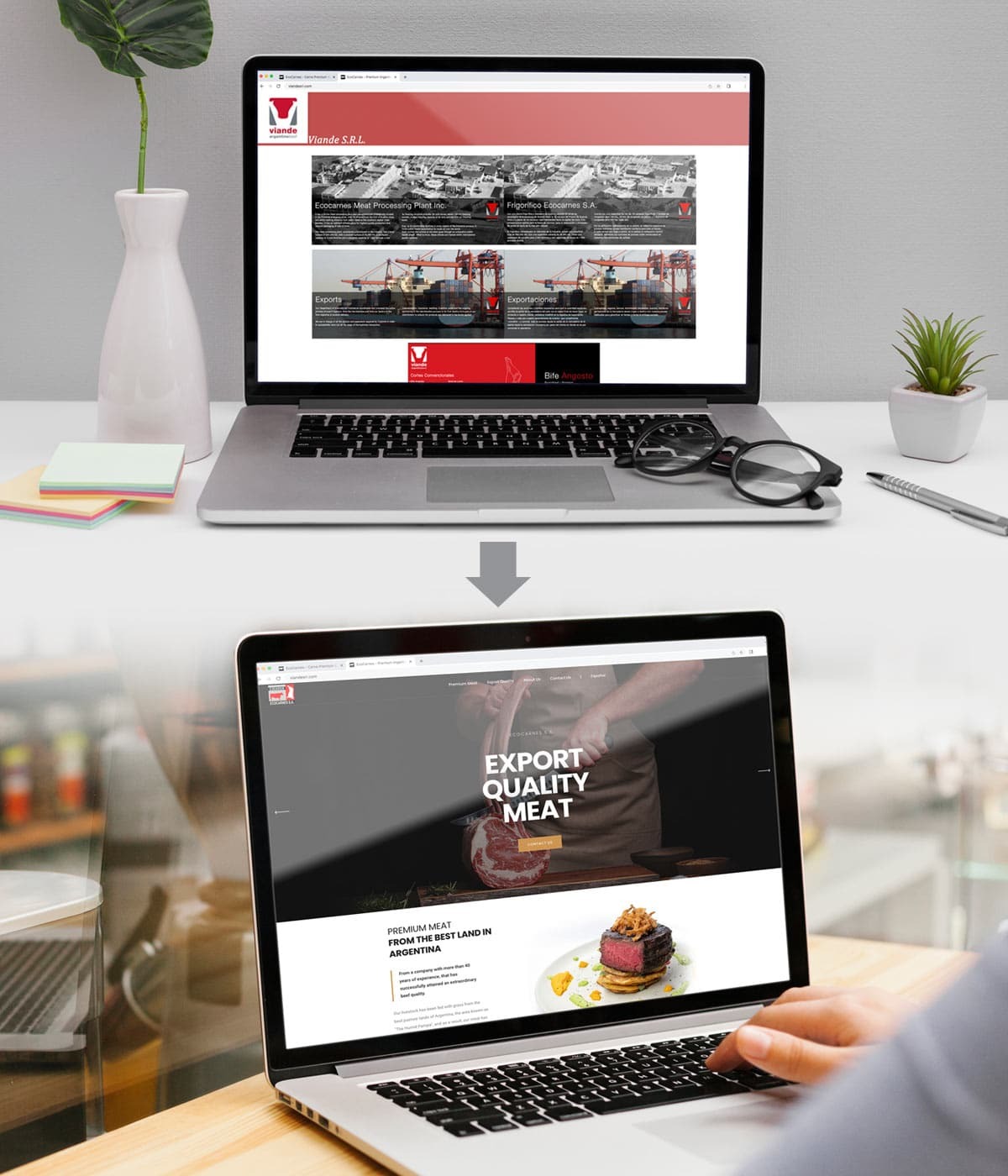 Imaginity, Ecocarnes, Viande, Meat, Premium, Web Design, Before and After