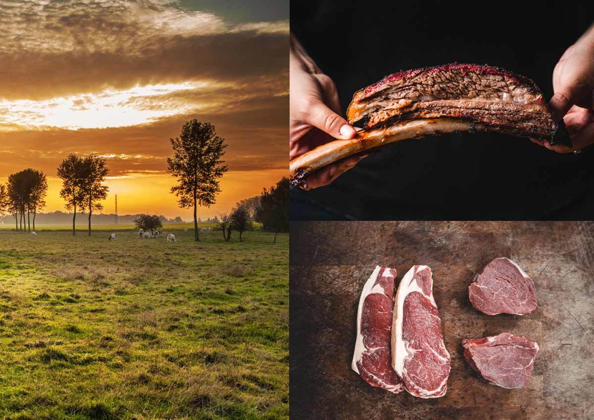 Imaginity, Hacienda Sur, Branding, Packaging Design, Meat Moodboard