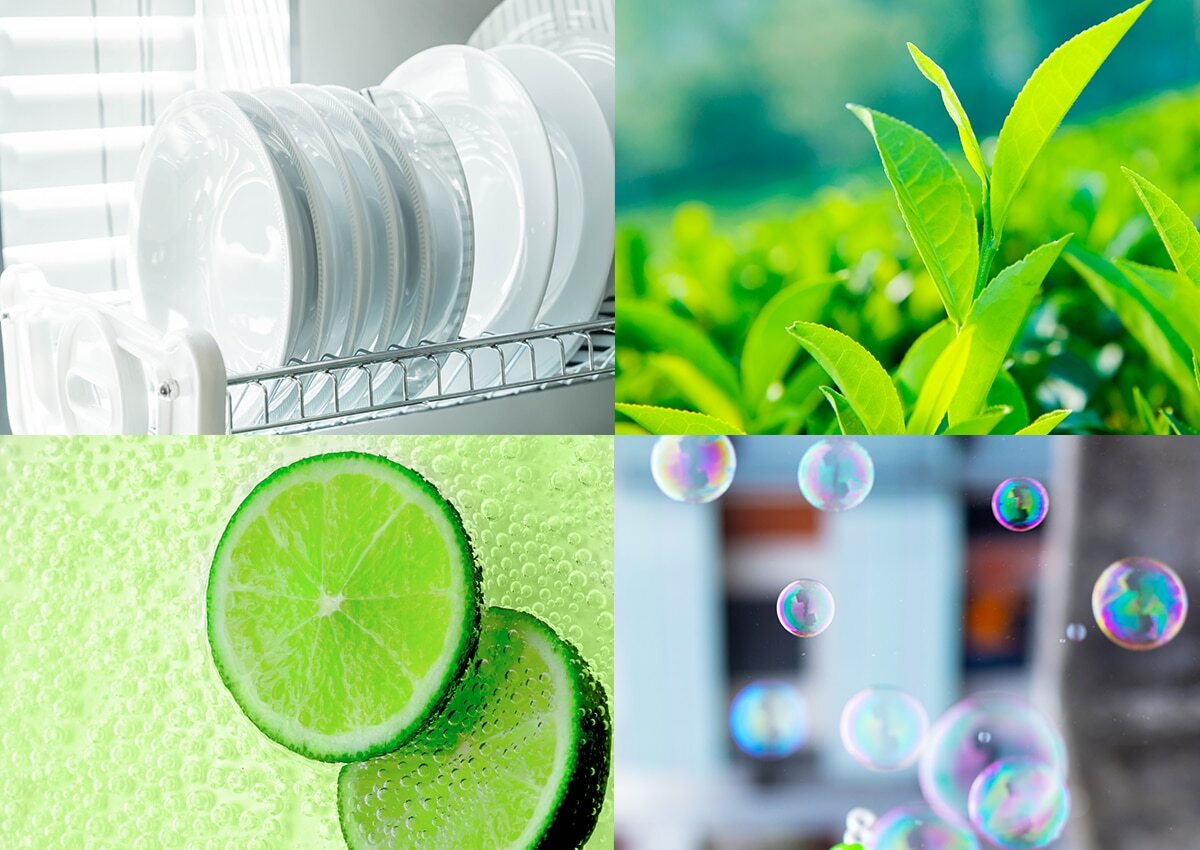 Imaginity, Lava, Detergente, Diseño de Packaging, Té verde y limón