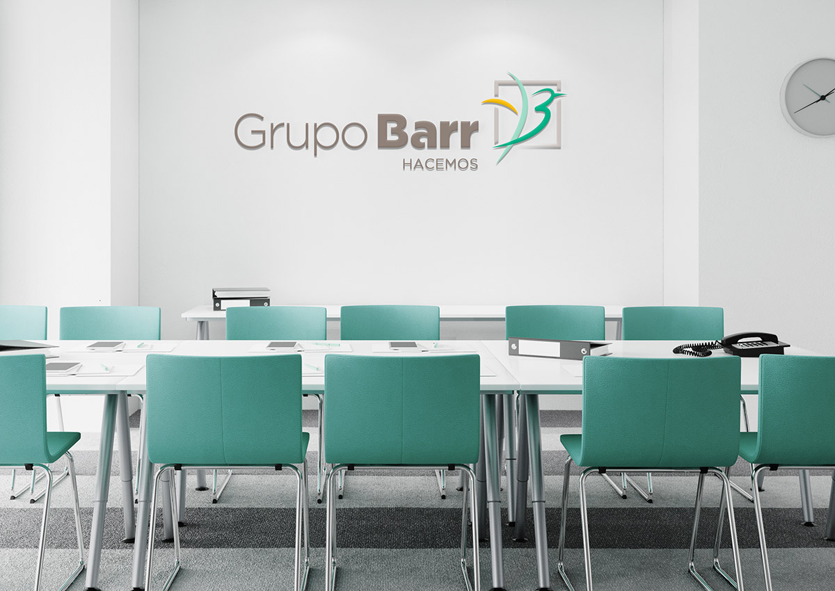 Imaginity, Grupo Barr, Pájaro, Branding, Diseño De Logo, Marca, Paraguay