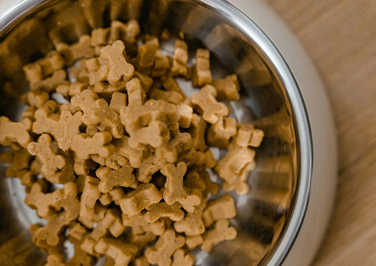 Imaginity, Pet Food, Dog bowl