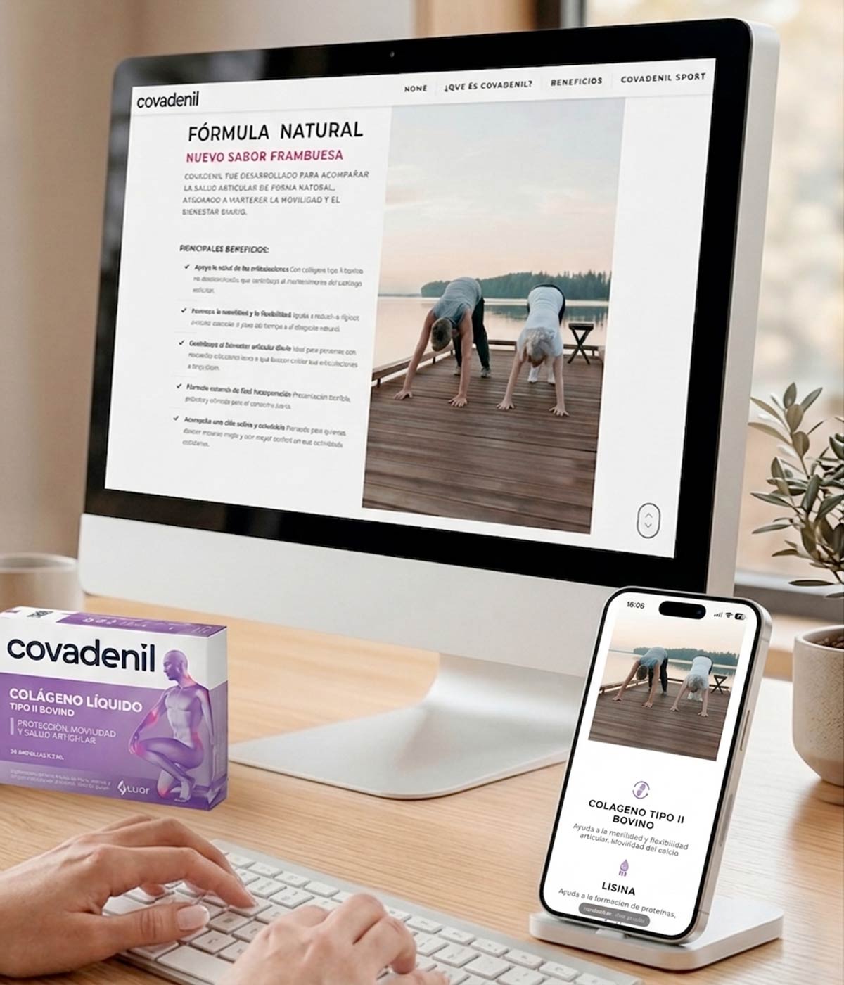 Imaginity, Covadenil, Web Design, Responsive
