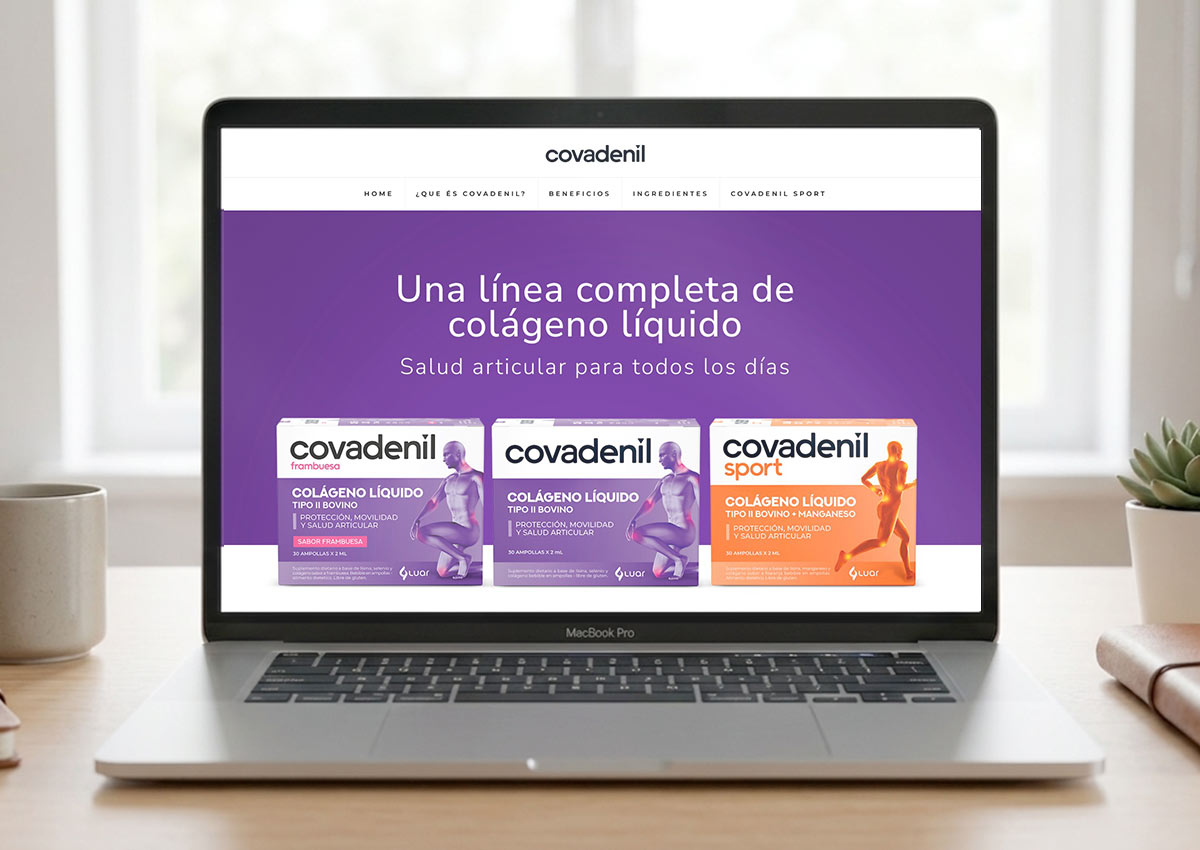 Imaginity, Covadenil, Web Design, Macbook, Office