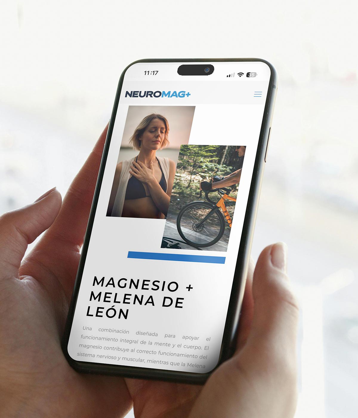 Imaginity, Neuromag, Web design, Magnesium