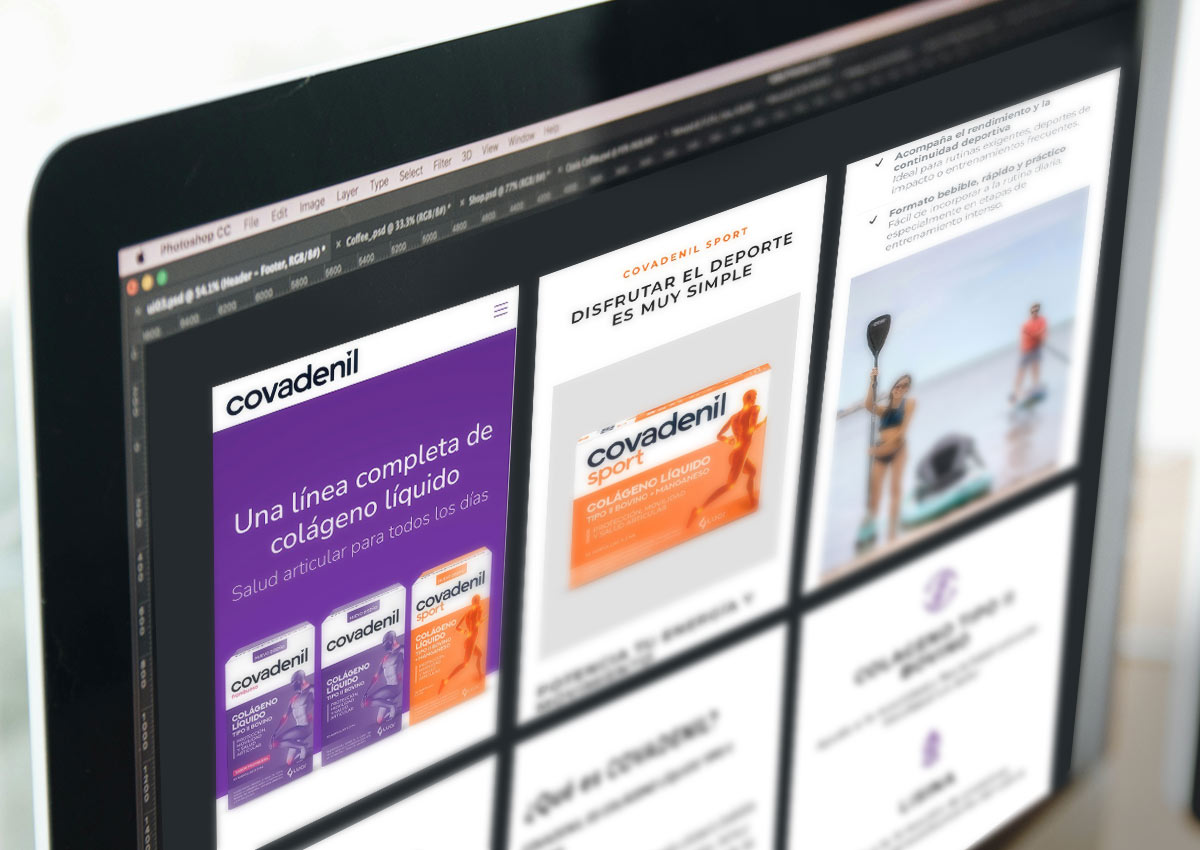 Imaginity, Covadenil, Web Design, ux design