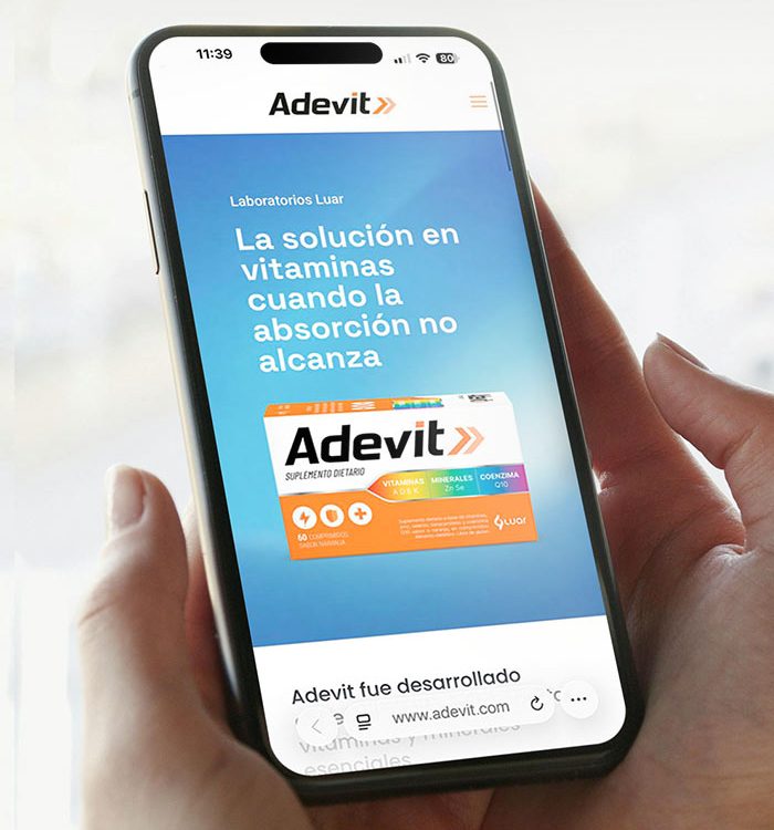 Imaginity, Adevit Web Design