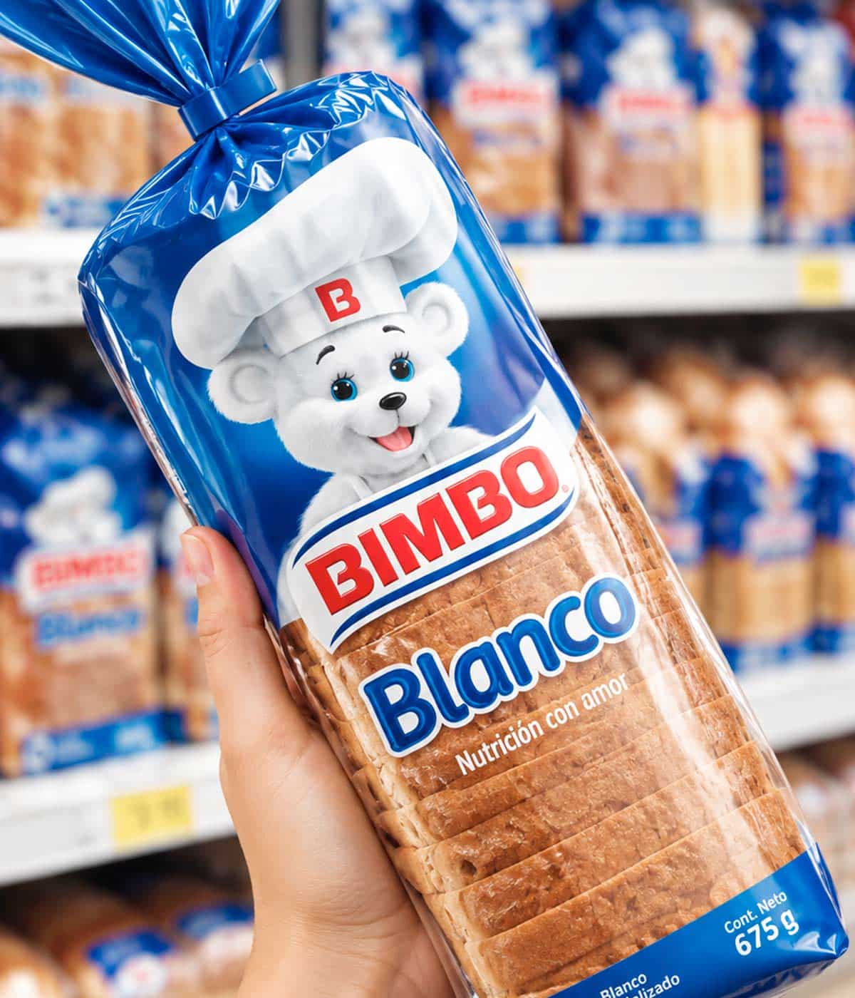 Imaginity, Bimbo, Branding, Logo Pack