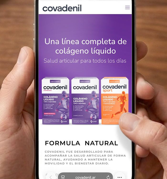 Imaginity, Covadenil, Web Design, Home, Web Design
