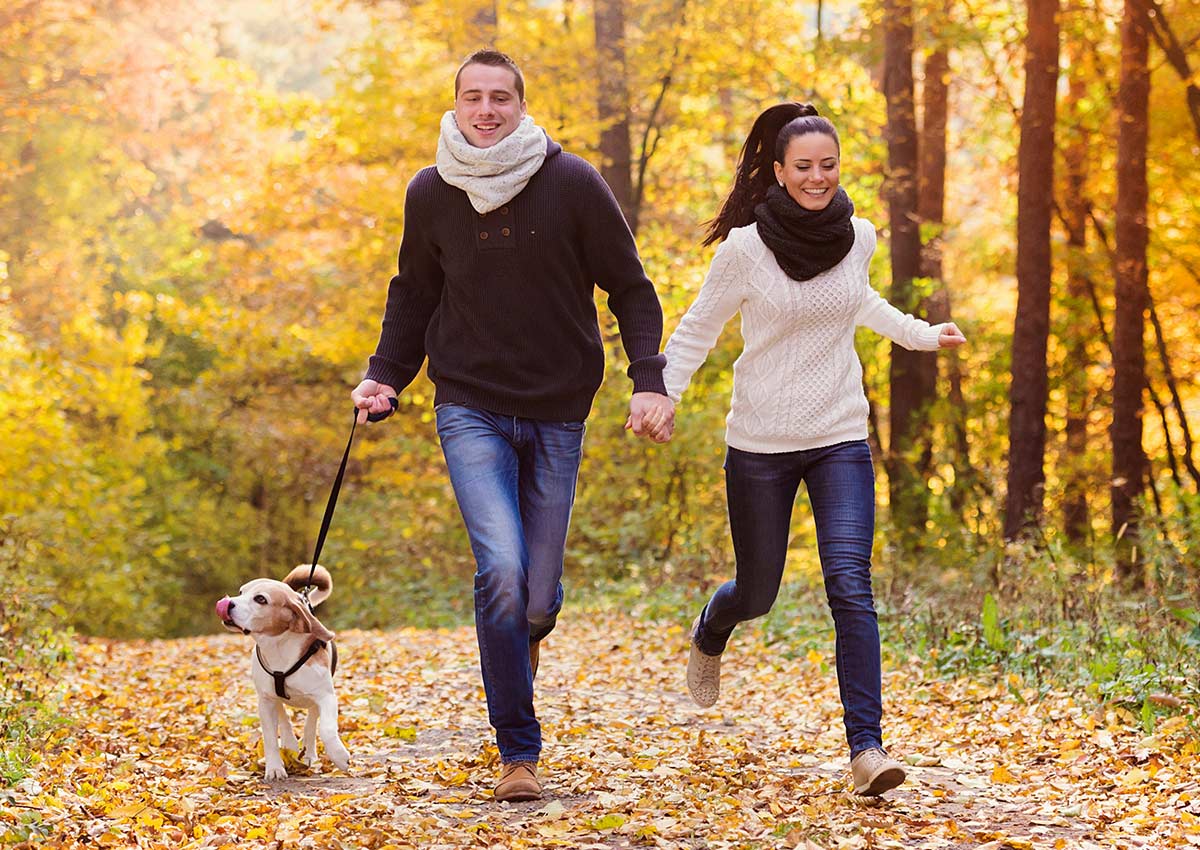 Imaginity, Global Experience, Categories, Pet Food, Dog Lovers, Family, Park