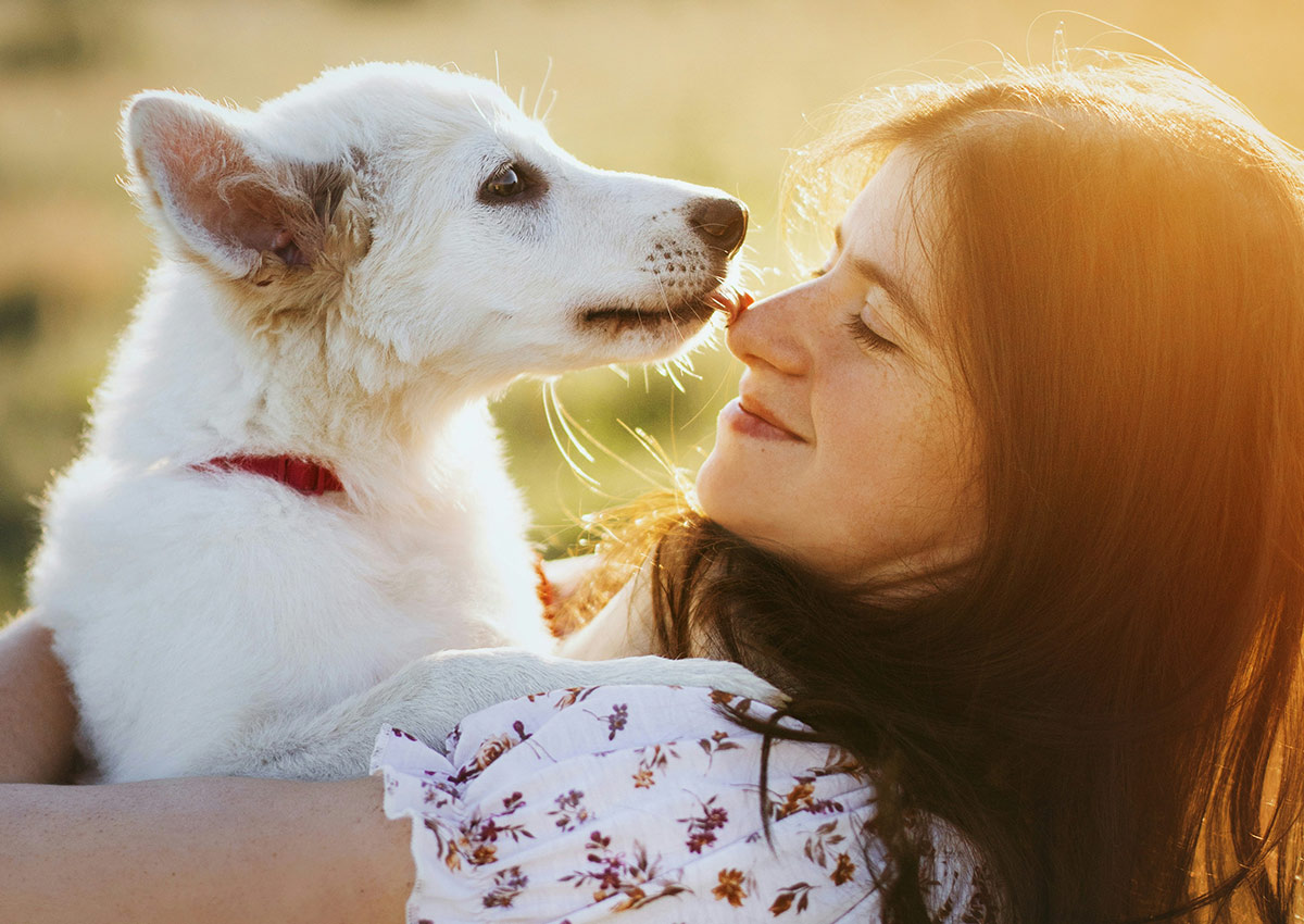 Imaginity, Global Experience, Categories, Pet Food, Funny, Happiness, Dog Lover