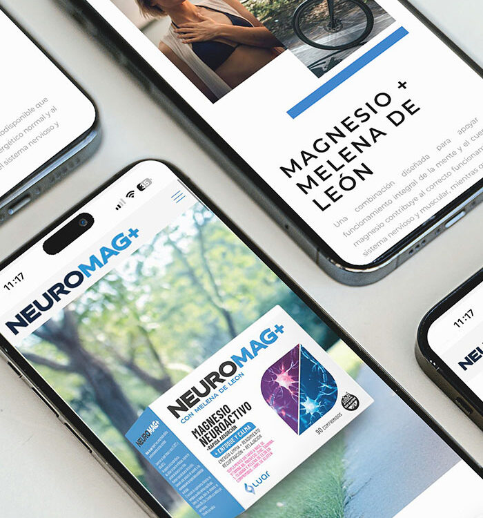 Imaginity, Neuromag, Web design, Home