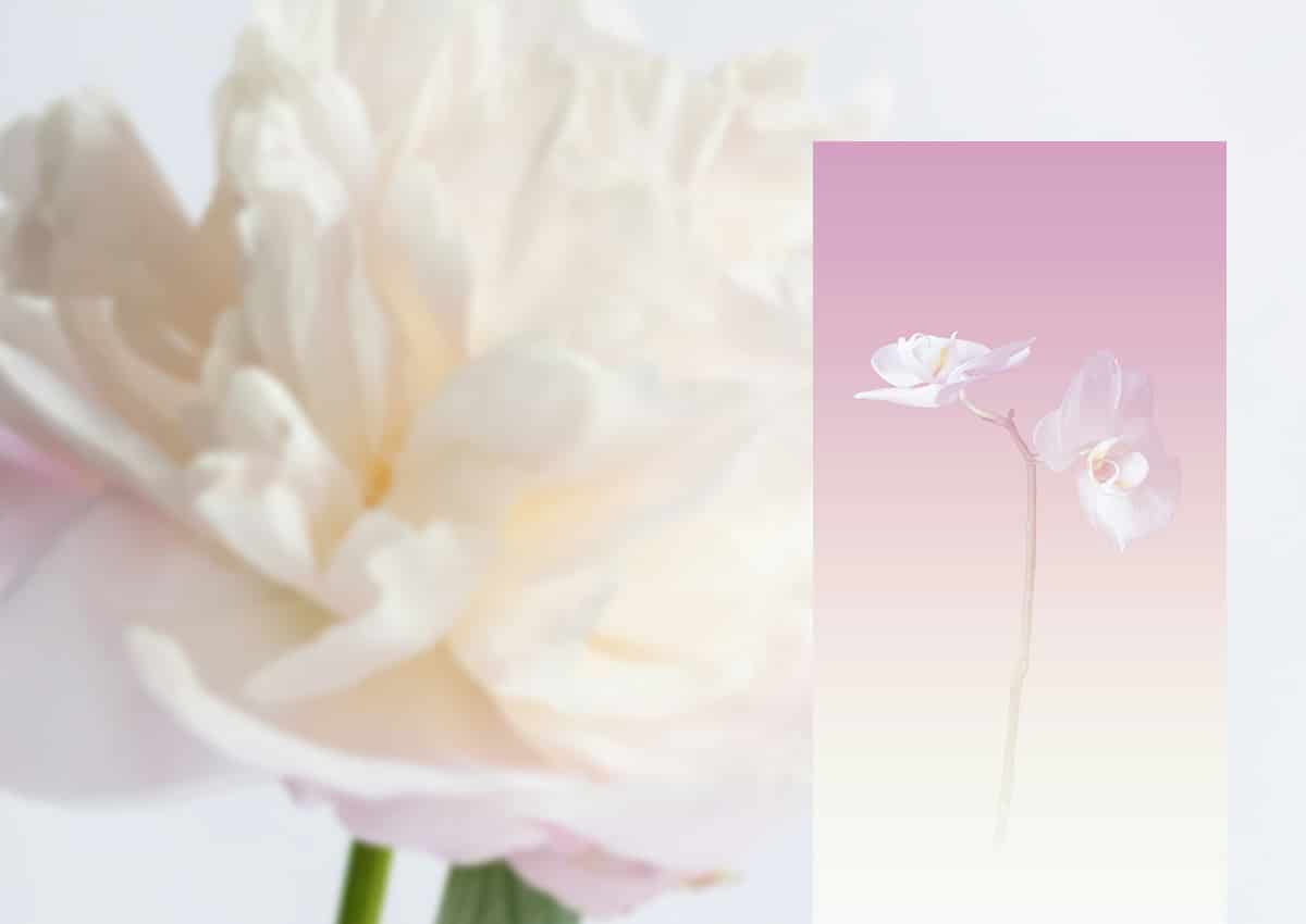 Imaginity, Packaging Design Trends 2026,