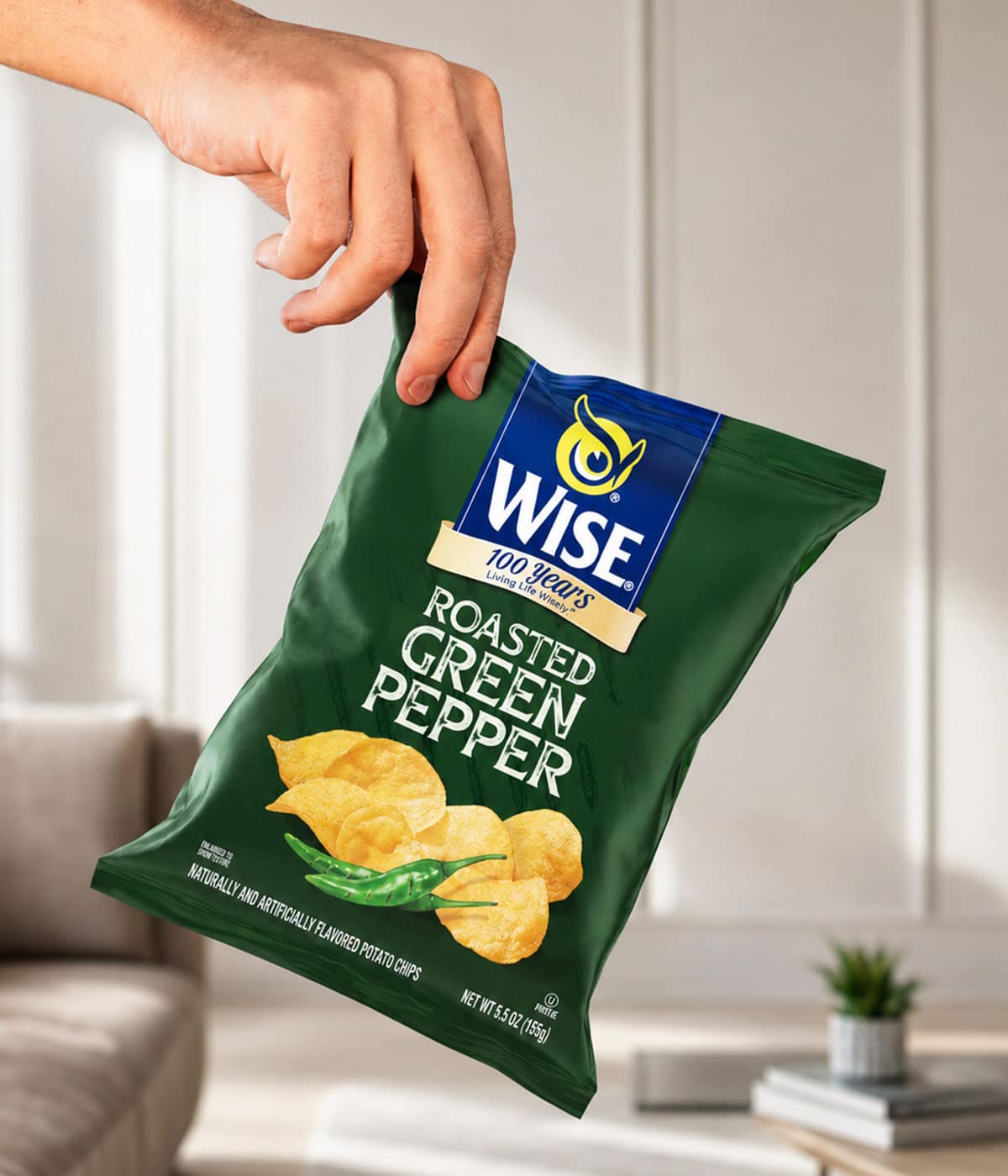 Imaginity, Wise Snacks, Roasted Green Pepper, Potato Chips, Packaging Design